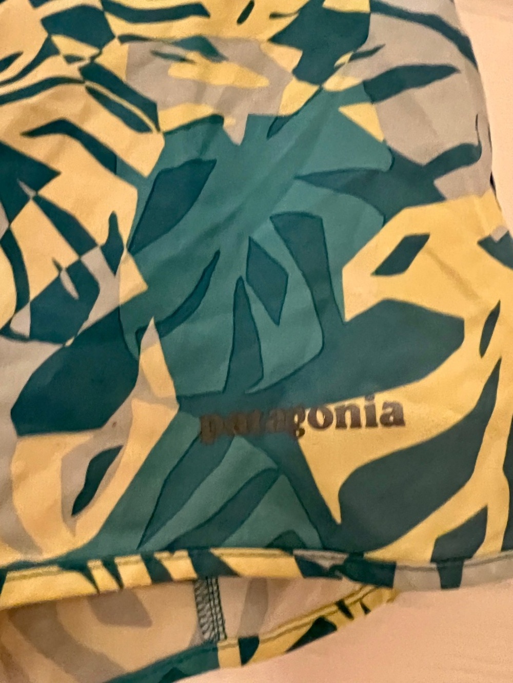 Patagonia Lined Board Shorts